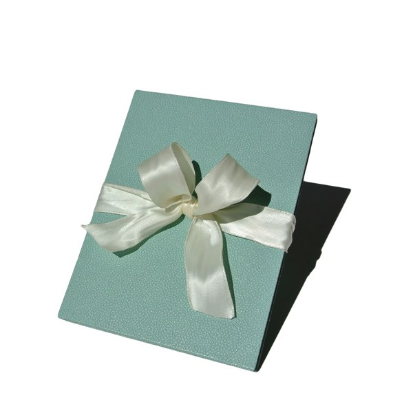 Trixi Gronau NELLI Fotoleporello Galluchat Mint