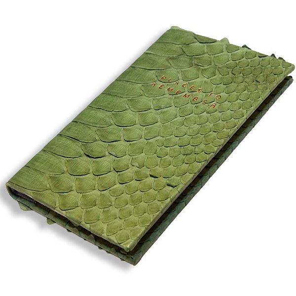 Trixi Gronau MIA Places to Remember Notizbuch Python oliv