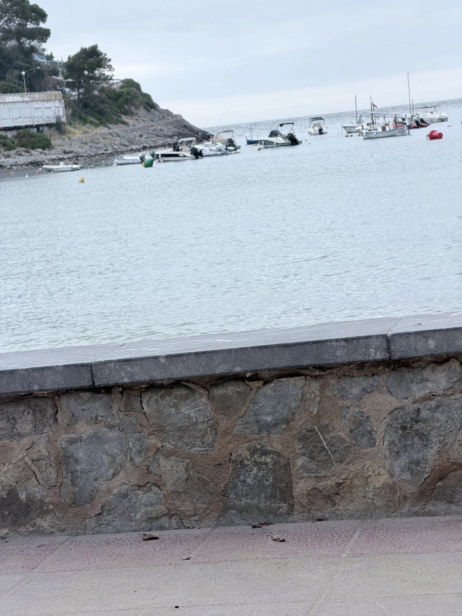 Hafen Port Soller Abend mit Booten und Tramuntana