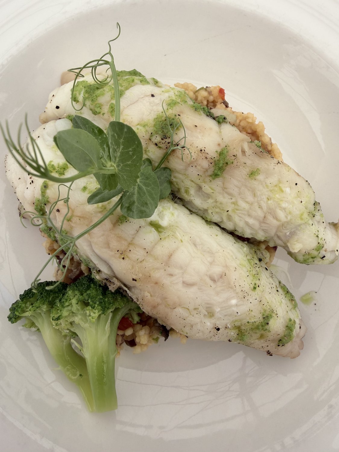 Seeteufel mit Couscous und gruenem Pesto auf weissem Teller im Lume und Co