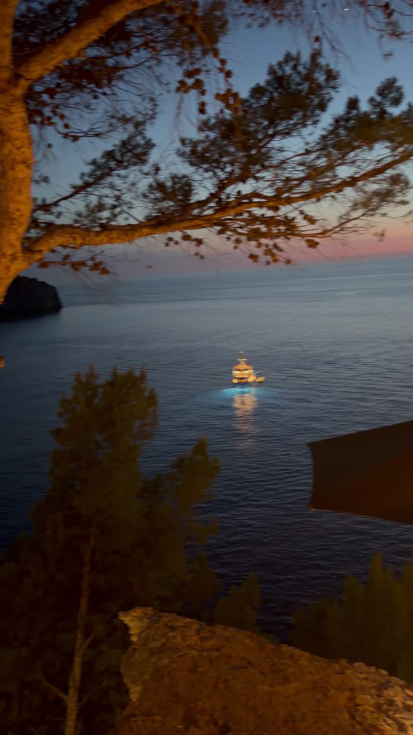 Blaue Stunde durch Pinien Port Soller