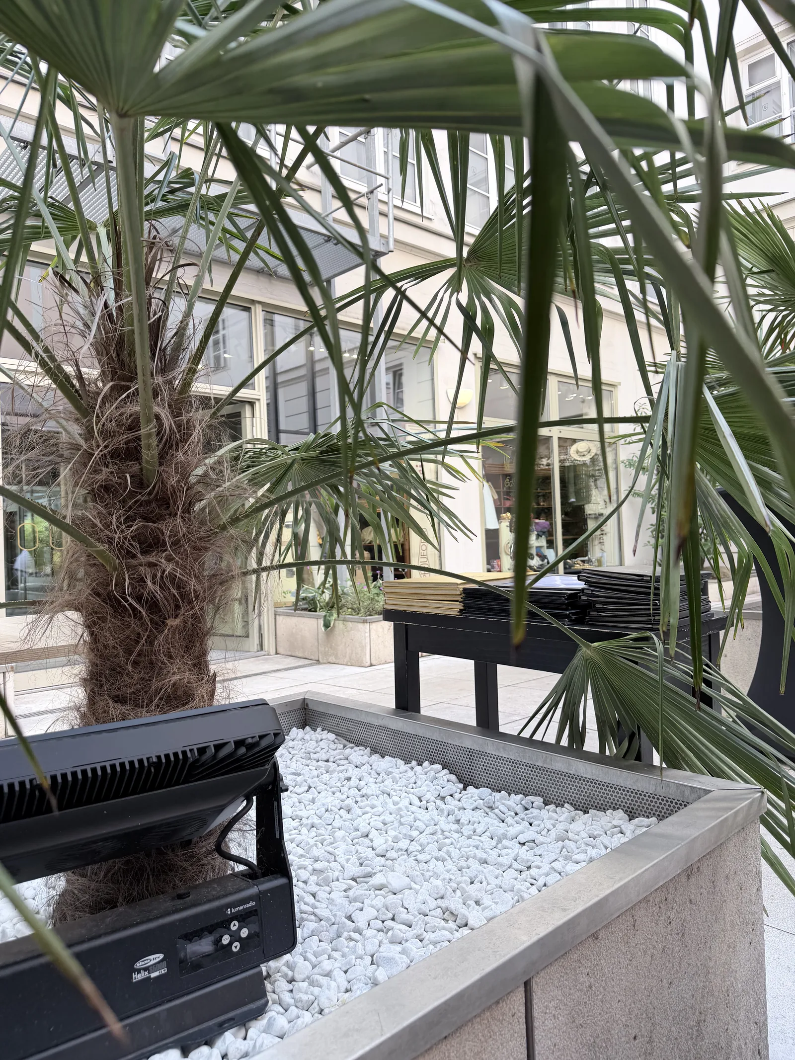Green courtyard at Aimy restaurant in Munich