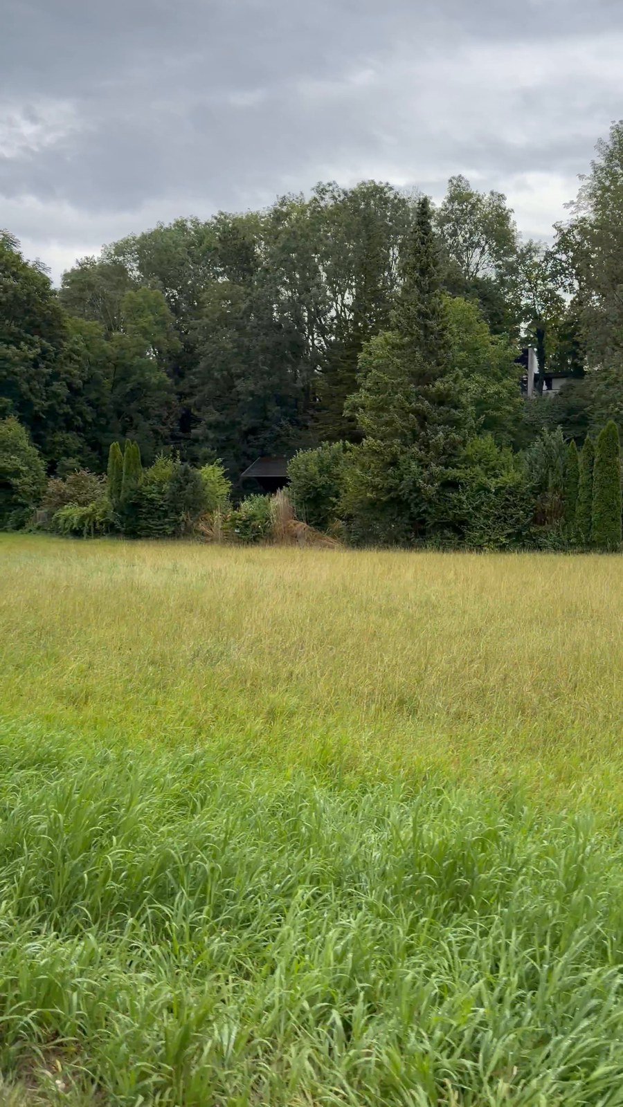 Grüne Wiese mit Bäumen und kleinen Häusern an der Zufahrt zur Emmeramsmühle in München