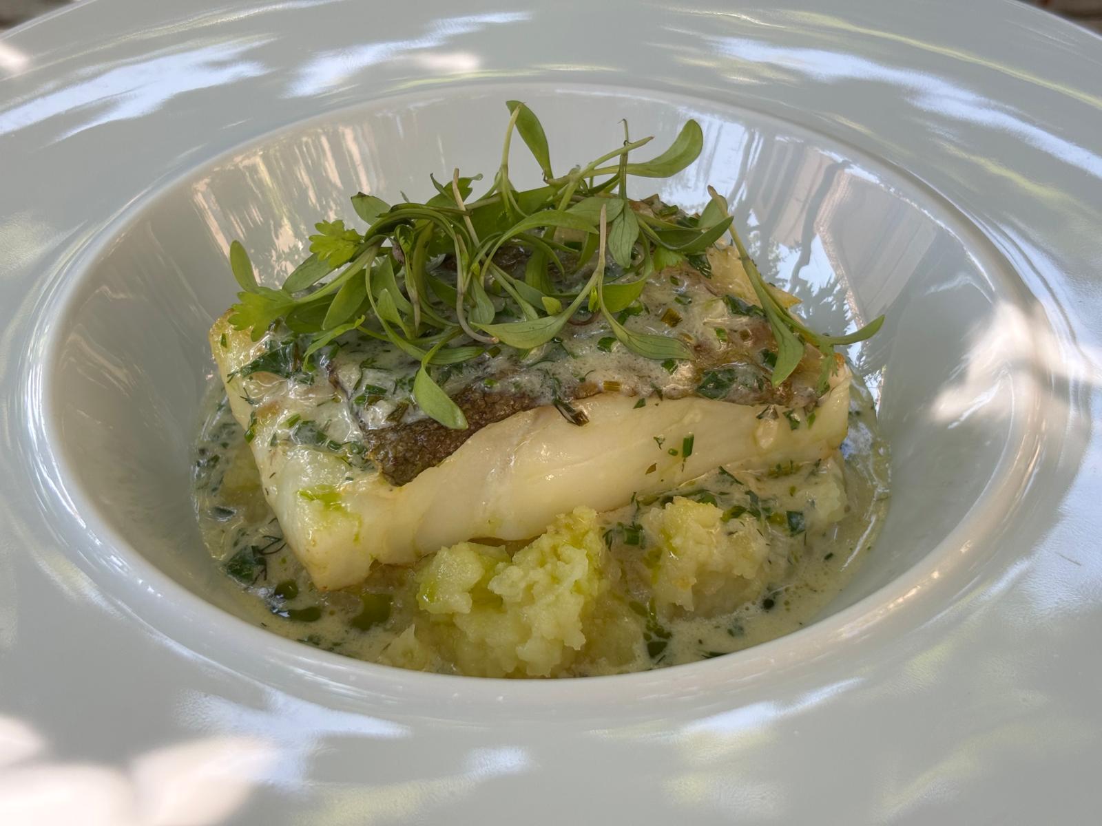 Kabeljau auf ecrase de pommes de terre mit Butterkraeutersauce