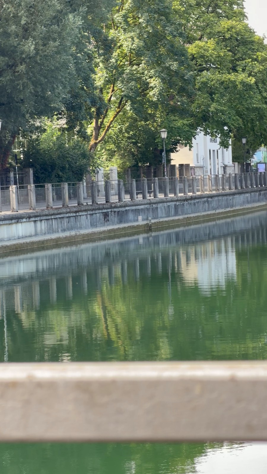 Ruhiges grünes Wasser des Isarkanals an der Praterinsel in München