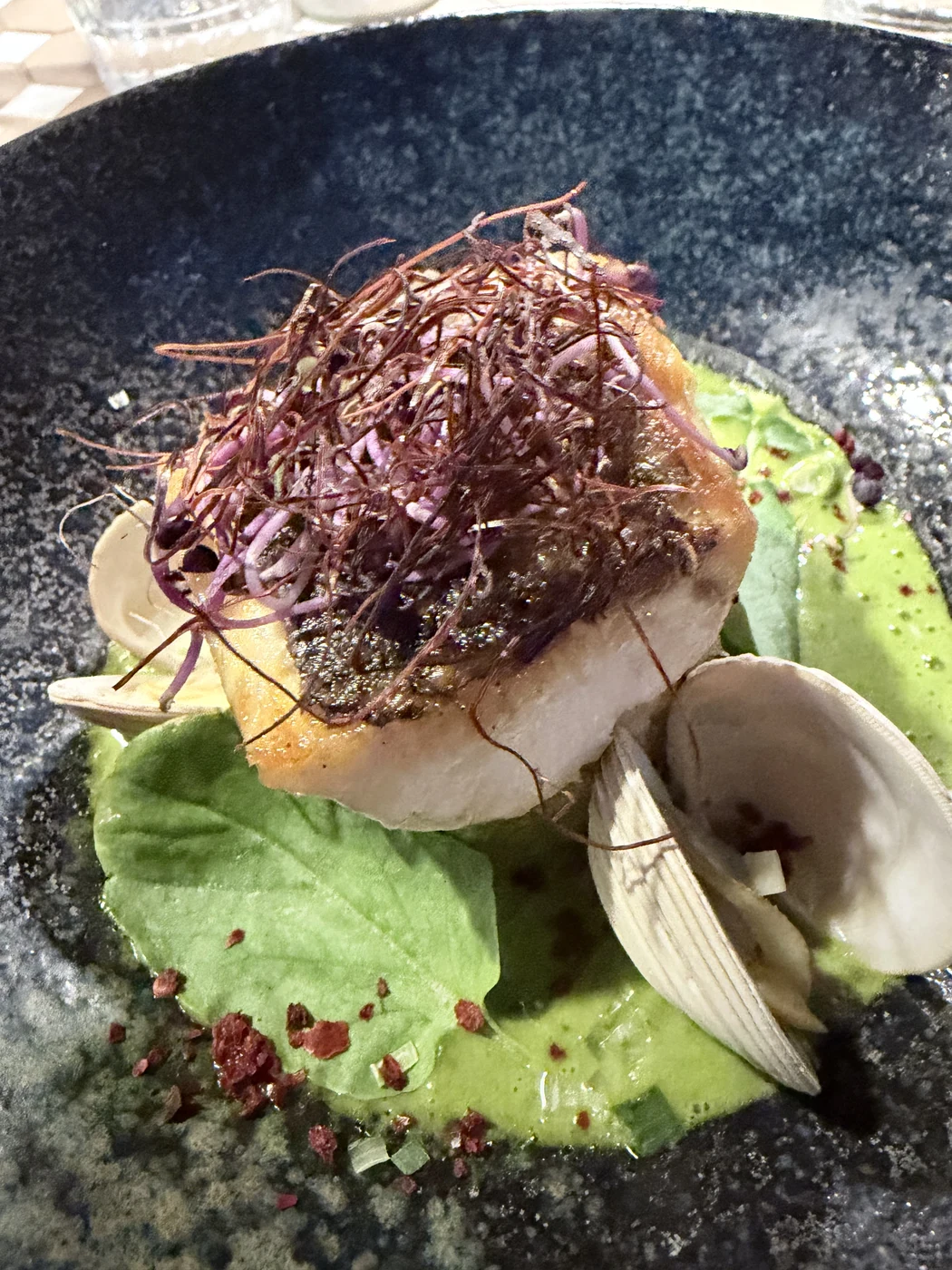 Sea bass on celery and fennel purée with clams and green salsa at the Nautilus.