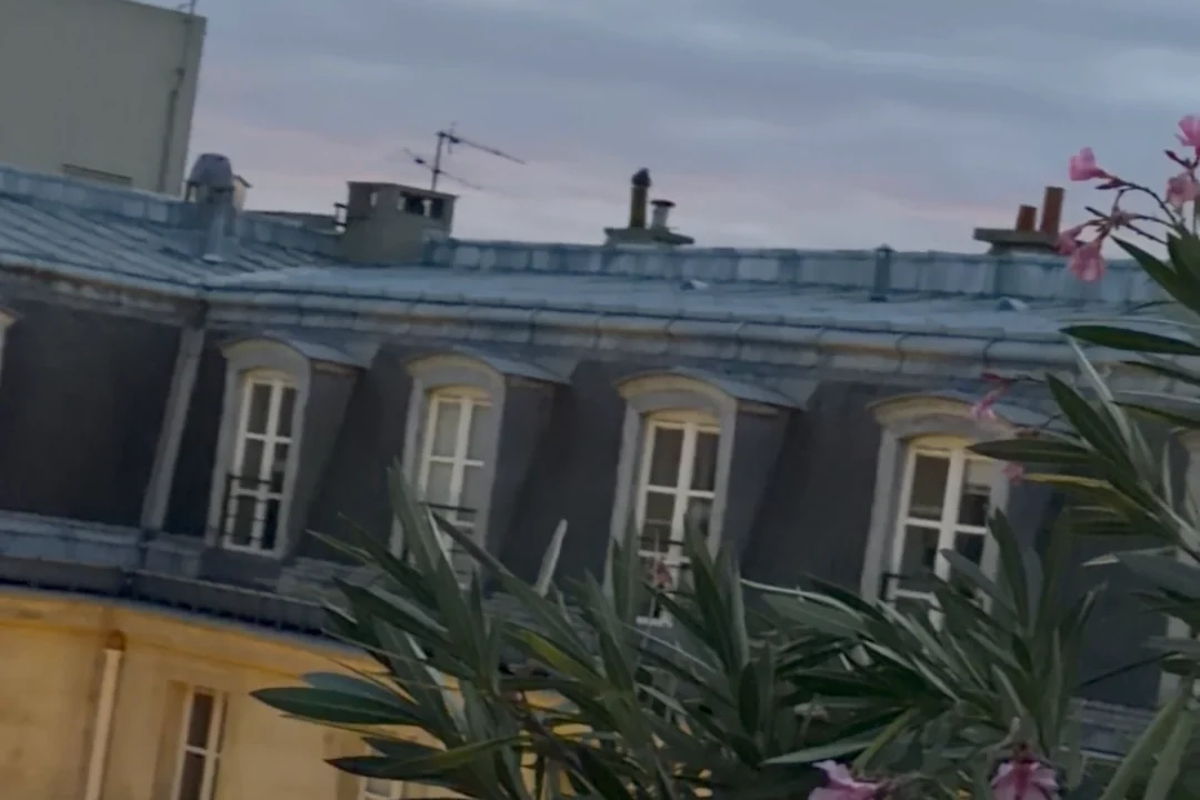 Blick über Pariser Dächer im Abendlicht mit Oleander im Vordergrund