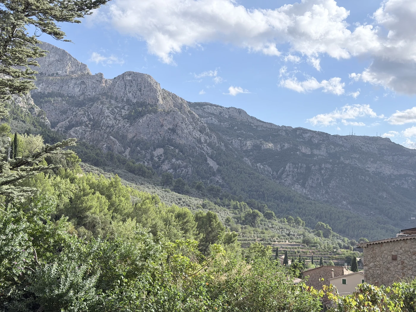 Blick auf das Tal von Sóller mit den Bergen der Serra de Tramuntana im Hintergrund.
