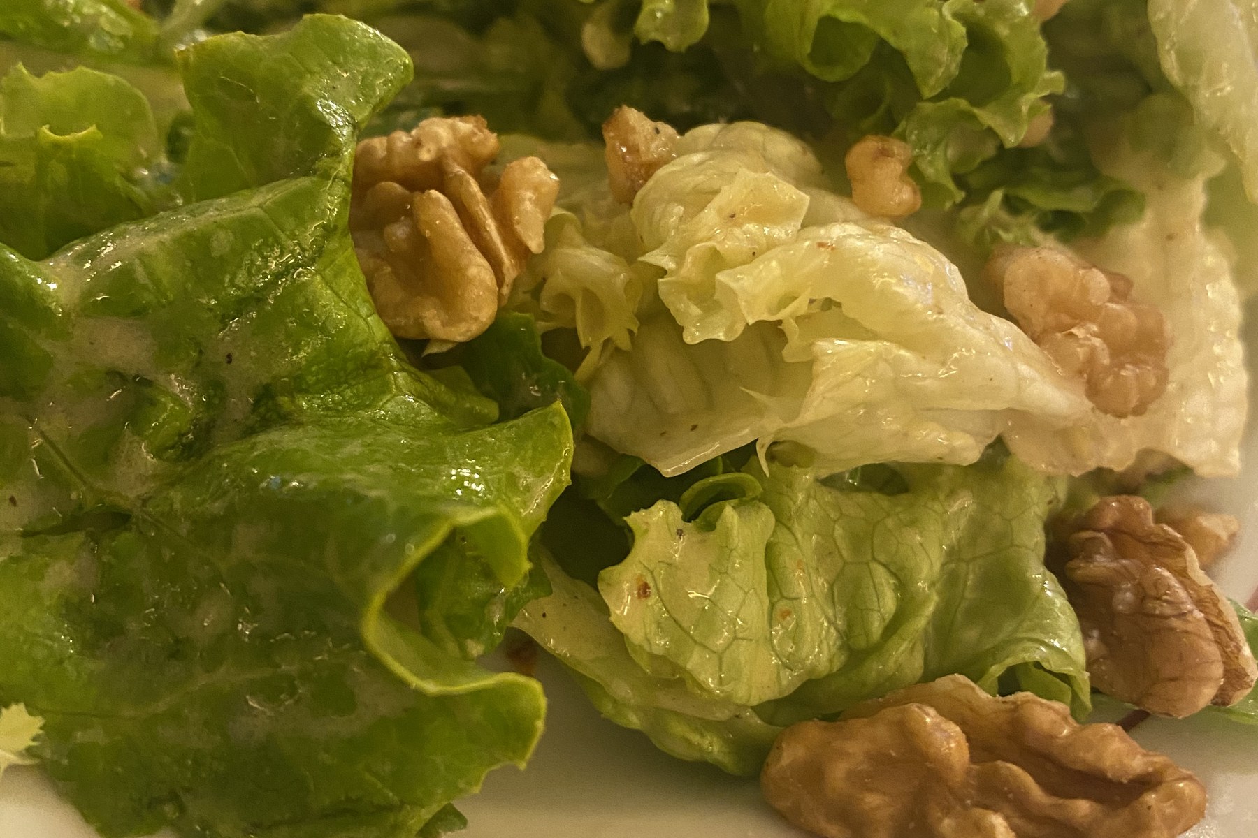 Grüner Blattsalat mit Walnüssen und Vinaigrette auf einem Teller mit rotem Rand