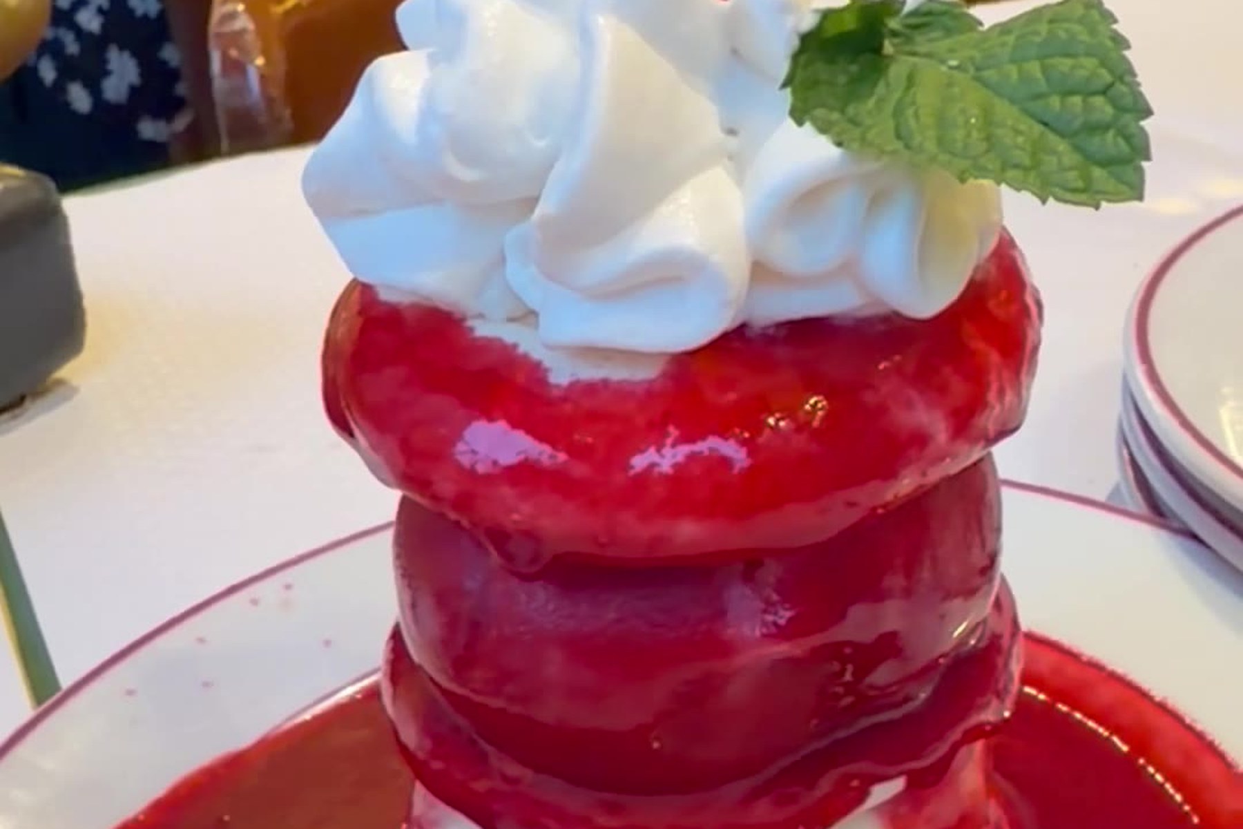 Vacherin Framboise aus Eis, Meringue und Sahne auf einem Spiegel aus Himbeersauce, mit einem Blatt Minze